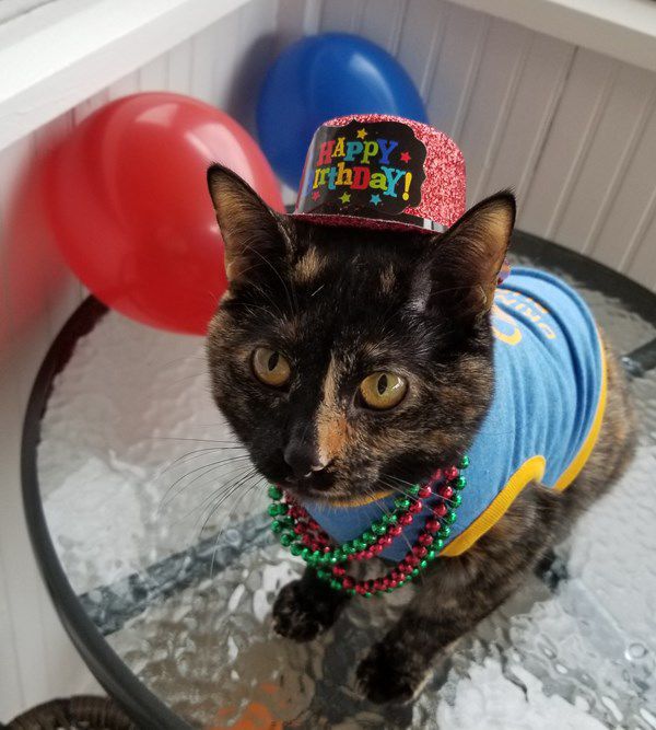 Thelma Jane